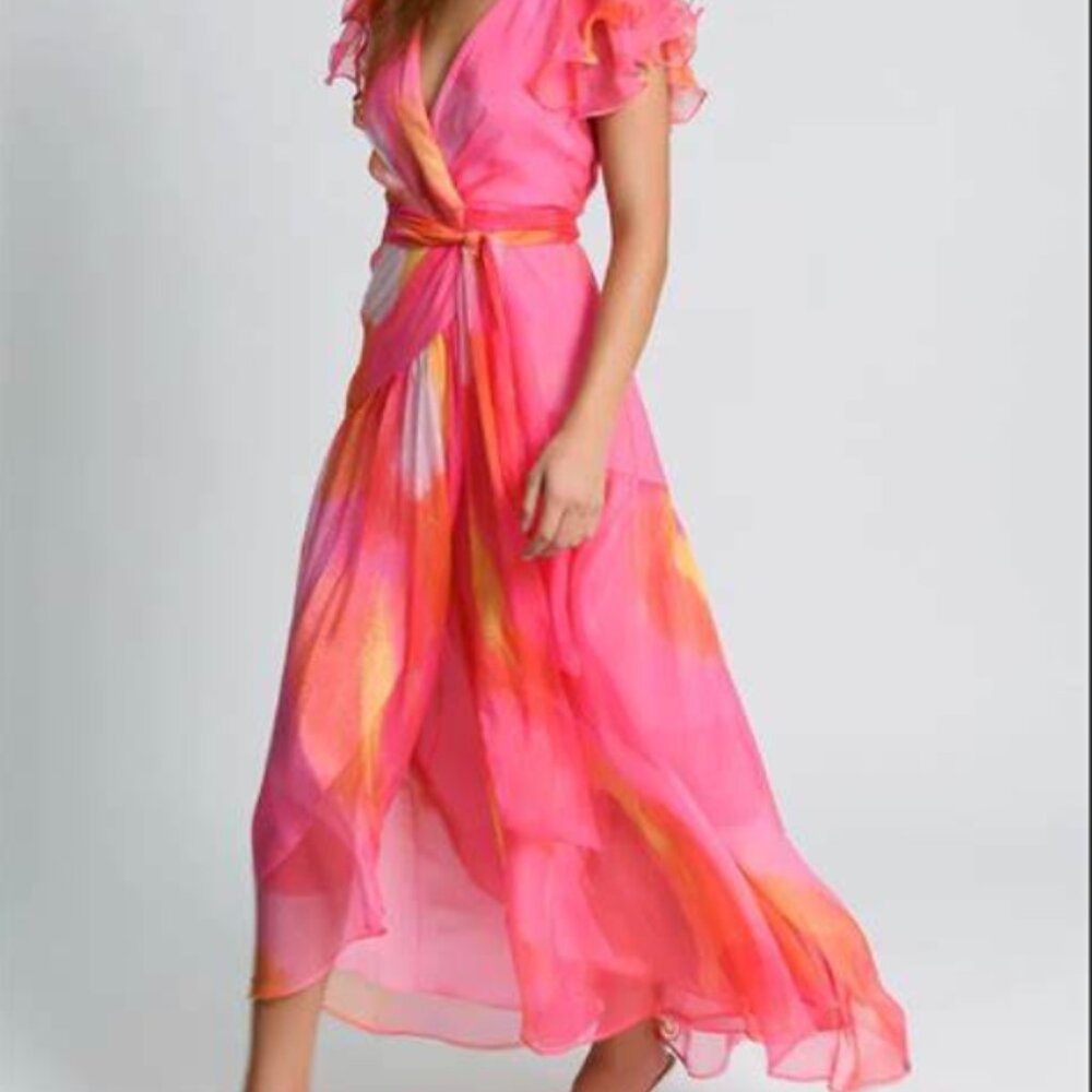 NWT Hutch Zola floral shimmer dress size small